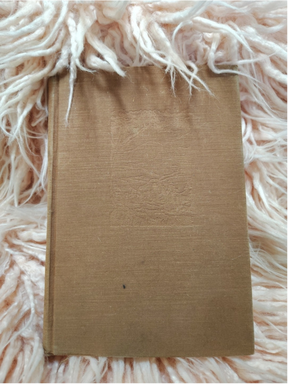 Stewart Edward White Folded Hills 1934 Hardcover No Dust Jacket